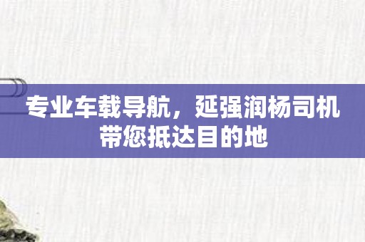 专业车载导航，延强润杨司机带您抵达目的地