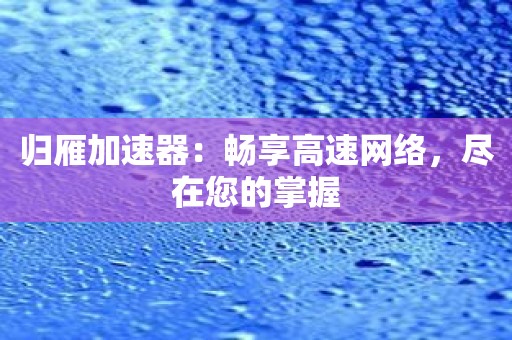 归雁加速器：畅享高速网络，尽在您的掌握