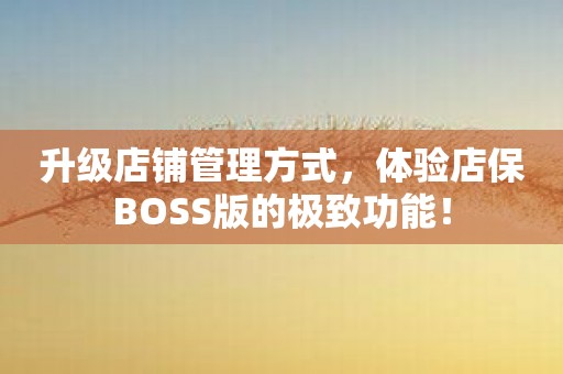 升级店铺管理方式，体验店保BOSS版的极致功能！