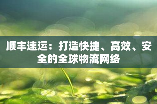 顺丰速运：打造快捷、高效、安全的全球物流网络