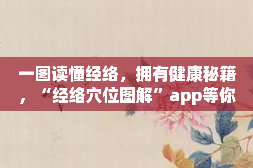 一图读懂经络，拥有健康秘籍，“经络穴位图解”app等你发现