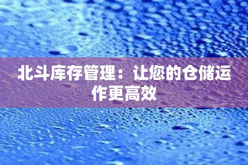 北斗库存管理：让您的仓储运作更高效