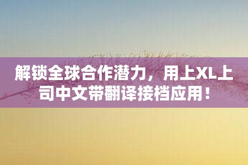 解锁全球合作潜力，用上XL上司中文带翻译接档应用！