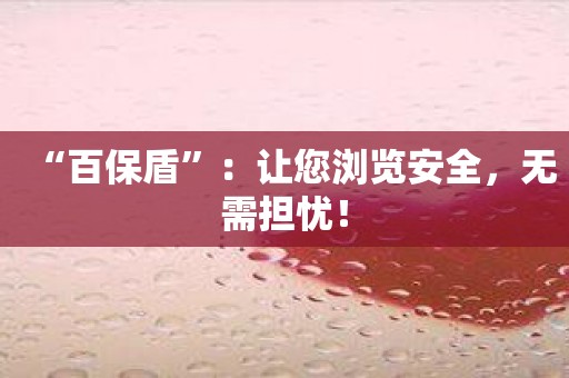 “百保盾”：让您浏览安全，无需担忧！