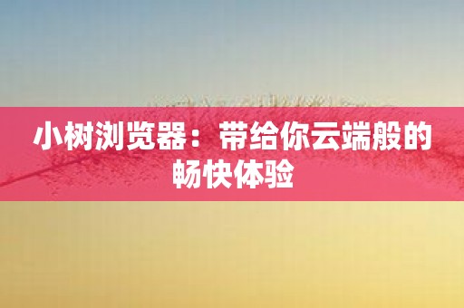 小树浏览器：带给你云端般的畅快体验