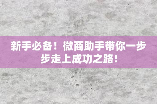 新手必备！微商助手带你一步步走上成功之路！