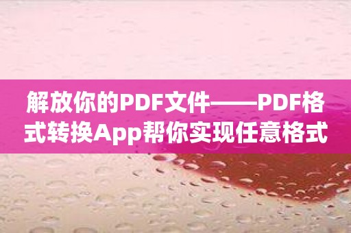 解放你的PDF文件——PDF格式转换App帮你实现任意格式转换