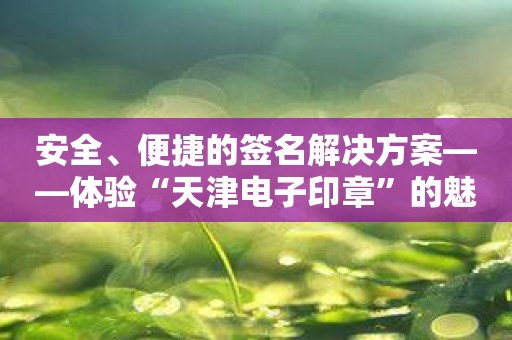 安全、便捷的签名解决方案——体验“天津电子印章”的魅力