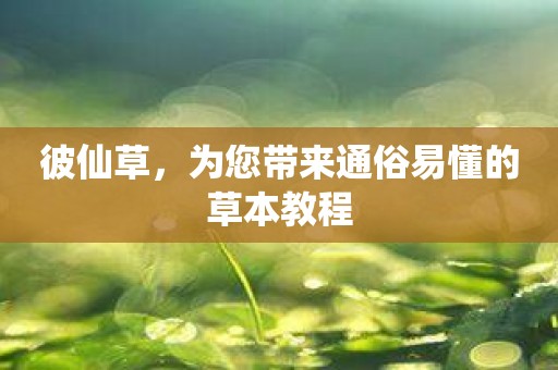 彼仙草，为您带来通俗易懂的草本教程