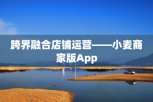 跨界融合店铺运营——小麦商家版App