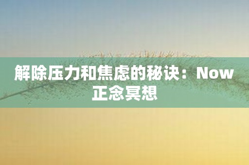 解除压力和焦虑的秘诀：Now正念冥想