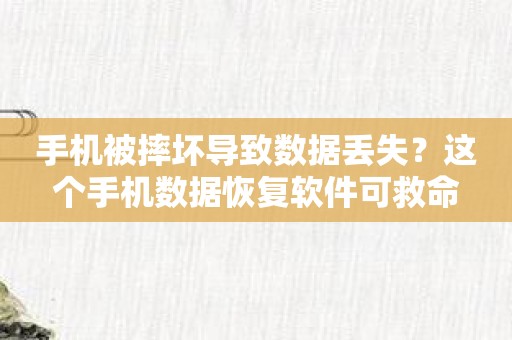 手机被摔坏导致数据丢失？这个手机数据恢复软件可救命