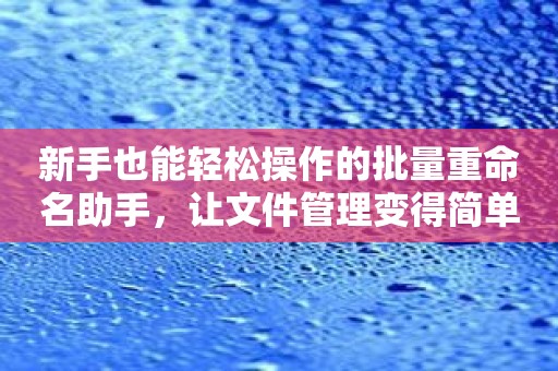 新手也能轻松操作的批量重命名助手，让文件管理变得简单！