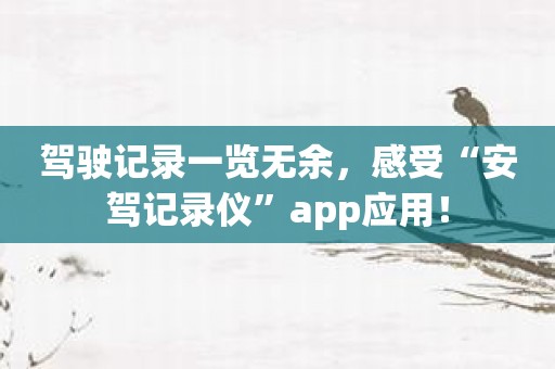 驾驶记录一览无余，感受“安驾记录仪”app应用！