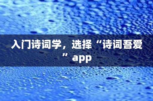 入门诗词学，选择“诗词吾爱”app