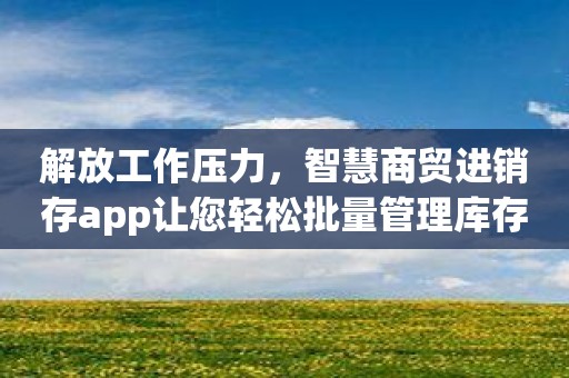 解放工作压力，智慧商贸进销存app让您轻松批量管理库存