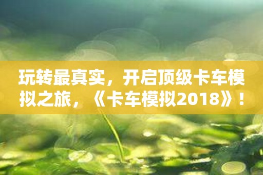 玩转最真实，开启顶级卡车模拟之旅，《卡车模拟2018》！