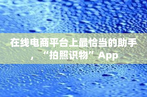 在线电商平台上最恰当的助手，“拍照识物”App