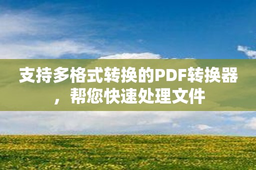 支持多格式转换的PDF转换器，帮您快速处理文件