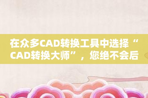 在众多CAD转换工具中选择“CAD转换大师”，您绝不会后悔