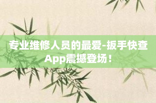 专业维修人员的最爱-扳手快查App震撼登场！