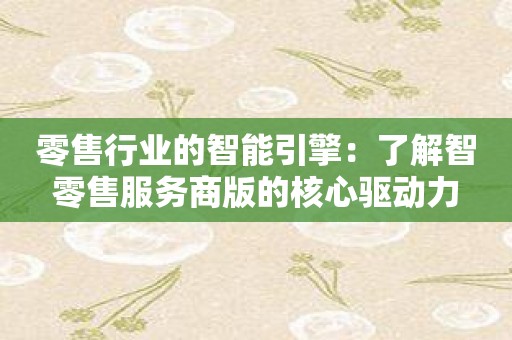 零售行业的智能引擎：了解智零售服务商版的核心驱动力