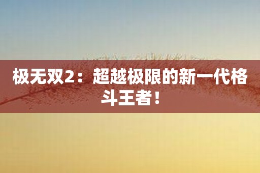 极无双2：超越极限的新一代格斗王者！