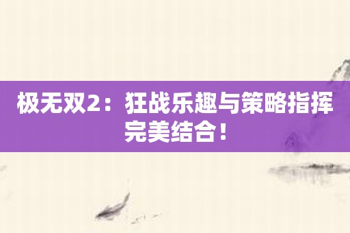 极无双2：狂战乐趣与策略指挥完美结合！