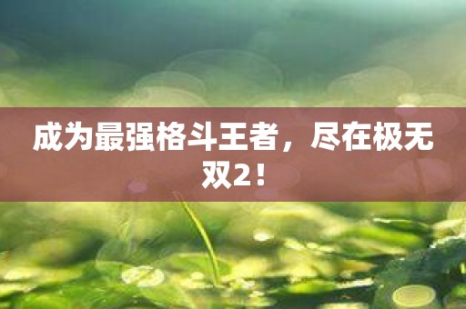 成为最强格斗王者，尽在极无双2！