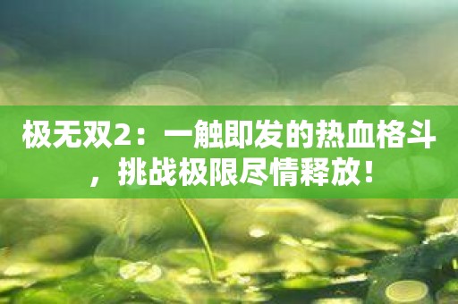 极无双2：一触即发的热血格斗，挑战极限尽情释放！