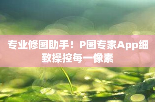 专业修图助手！P图专家App细致操控每一像素