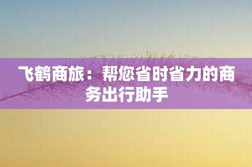 飞鹤商旅：帮您省时省力的商务出行助手