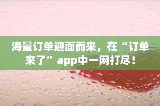 海量订单迎面而来，在“订单来了”app中一网打尽！