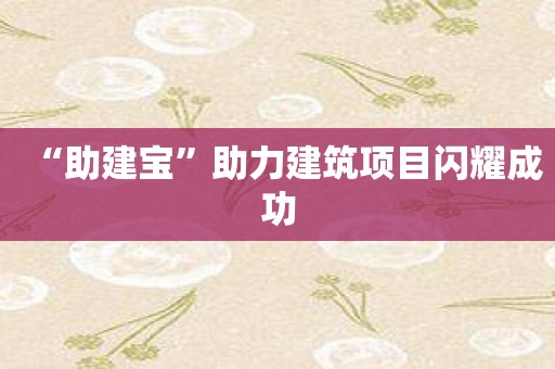 “助建宝”助力建筑项目闪耀成功