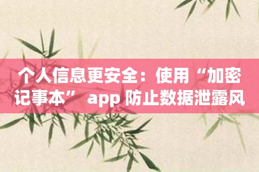 个人信息更安全：使用“加密记事本” app 防止数据泄露风险