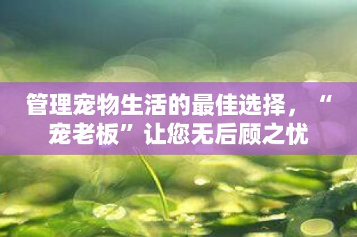 管理宠物生活的最佳选择，“宠老板”让您无后顾之忧