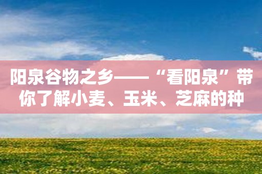 阳泉谷物之乡——“看阳泉”带你了解小麦、玉米、芝麻的种植及制作