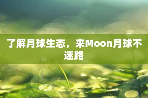 了解月球生态，来Moon月球不迷路