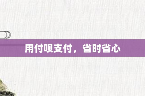 用付呗支付，省时省心