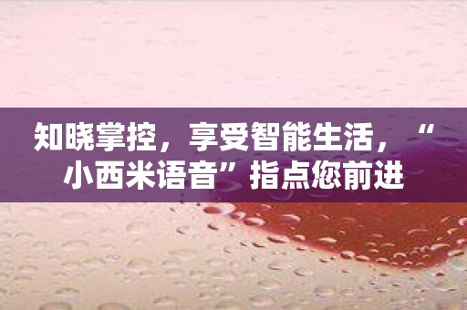 知晓掌控，享受智能生活，“小西米语音”指点您前进