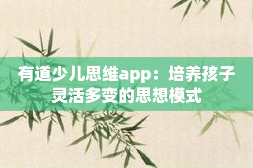 有道少儿思维app：培养孩子灵活多变的思想模式