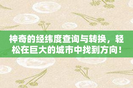 神奇的经纬度查询与转换，轻松在巨大的城市中找到方向！