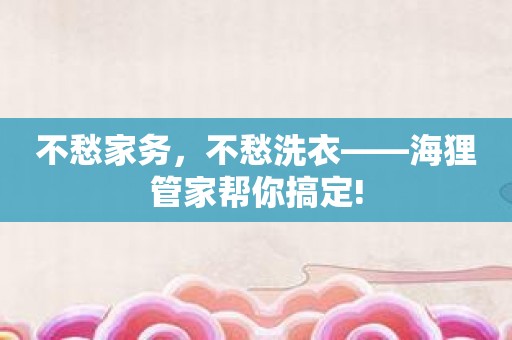 不愁家务，不愁洗衣——海狸管家帮你搞定!