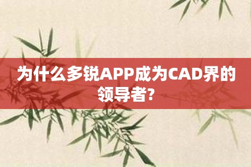 为什么多锐APP成为CAD界的领导者?