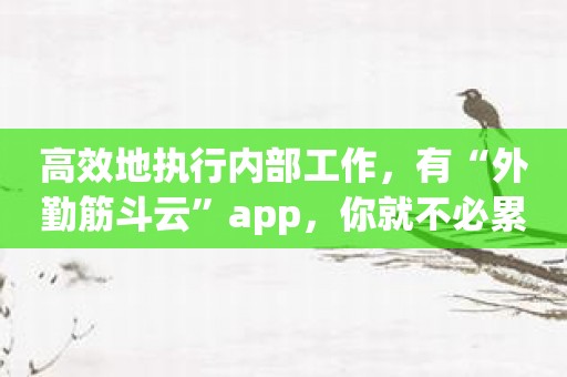 高效地执行内部工作，有“外勤筋斗云”app，你就不必累了