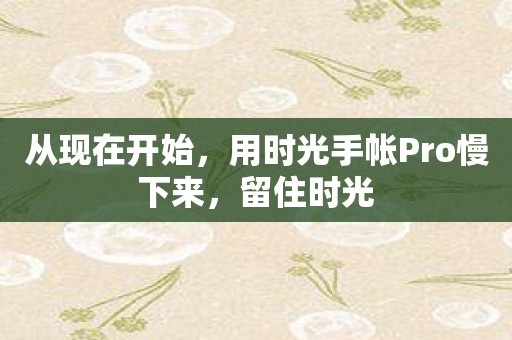 从现在开始，用时光手帐Pro慢下来，留住时光