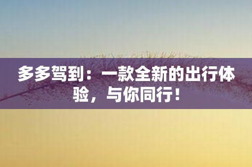 多多驾到：一款全新的出行体验，与你同行！