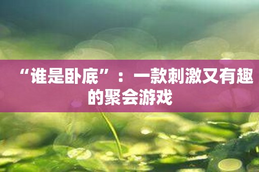 “谁是卧底”：一款刺激又有趣的聚会游戏