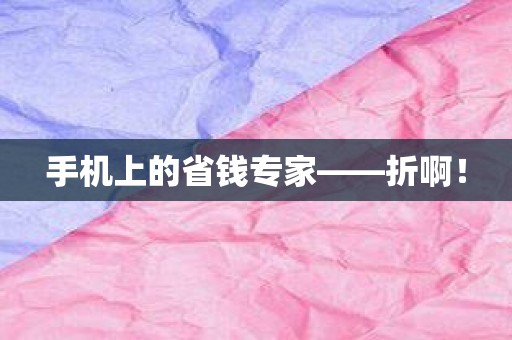 手机上的省钱专家——折啊！