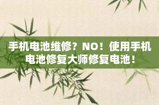 手机电池维修？NO！使用手机电池修复大师修复电池！